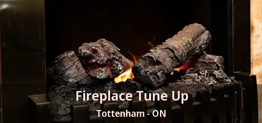 Fireplace Tune Up Tottenham - ON
