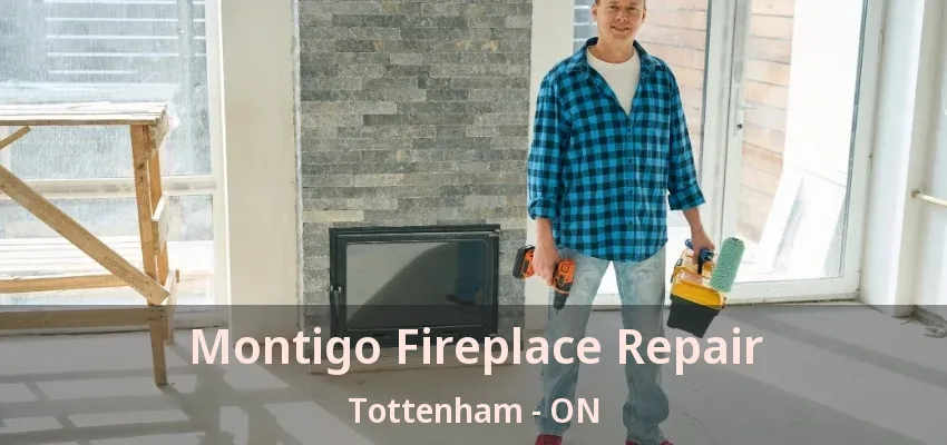 Montigo Fireplace Repair Tottenham - ON
