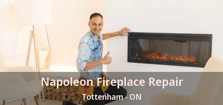Napoleon Fireplace Repair Tottenham - ON
