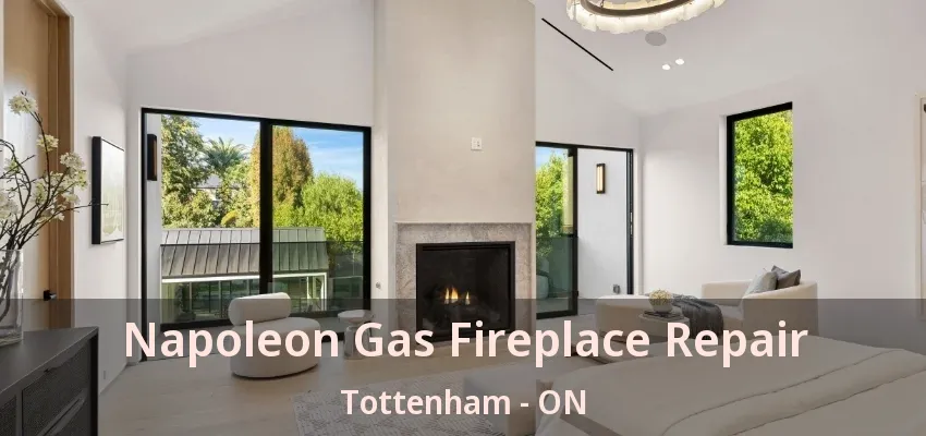 Napoleon Gas Fireplace Repair Tottenham - ON