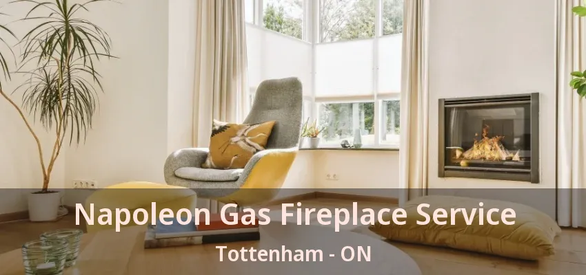 Napoleon Gas Fireplace Service Tottenham - ON