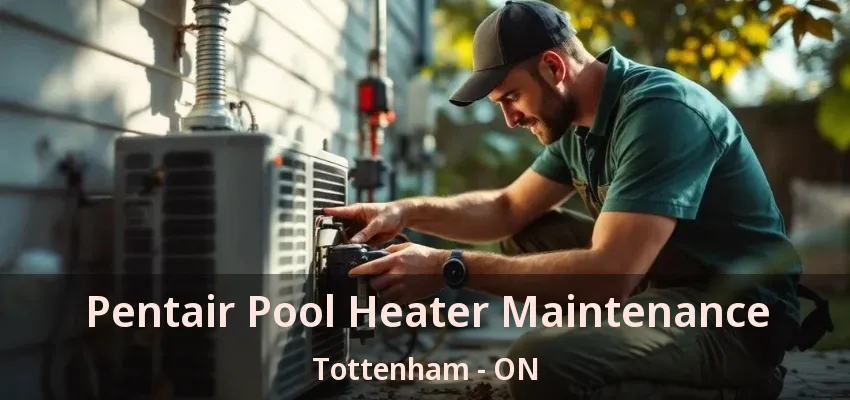 Pentair Pool Heater Maintenance Tottenham - ON Pentair Pool Heater Maintenance Tottenham - ON