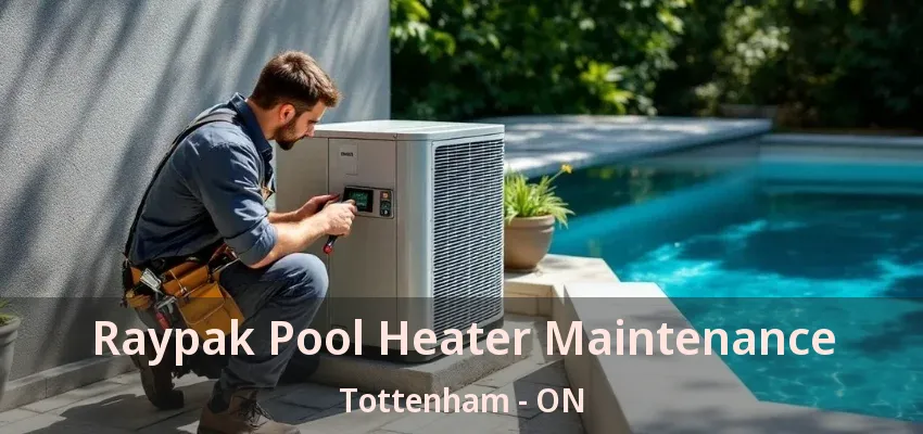 Raypak Pool Heater Maintenance Tottenham - ON